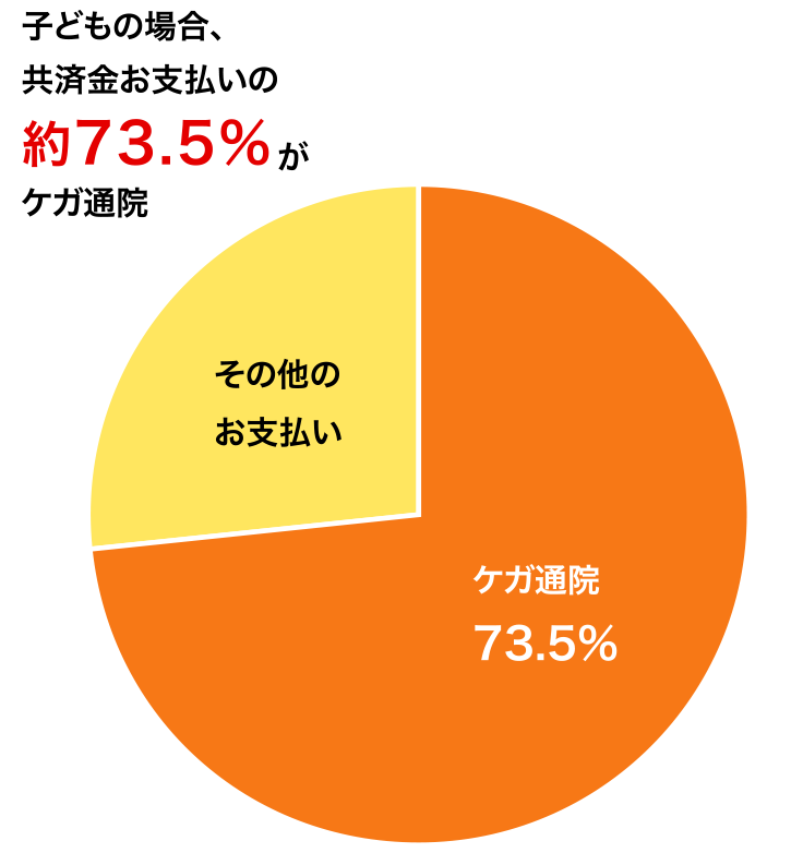 お支払い件数の内訳